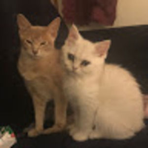 Meet your Posher, Joanna